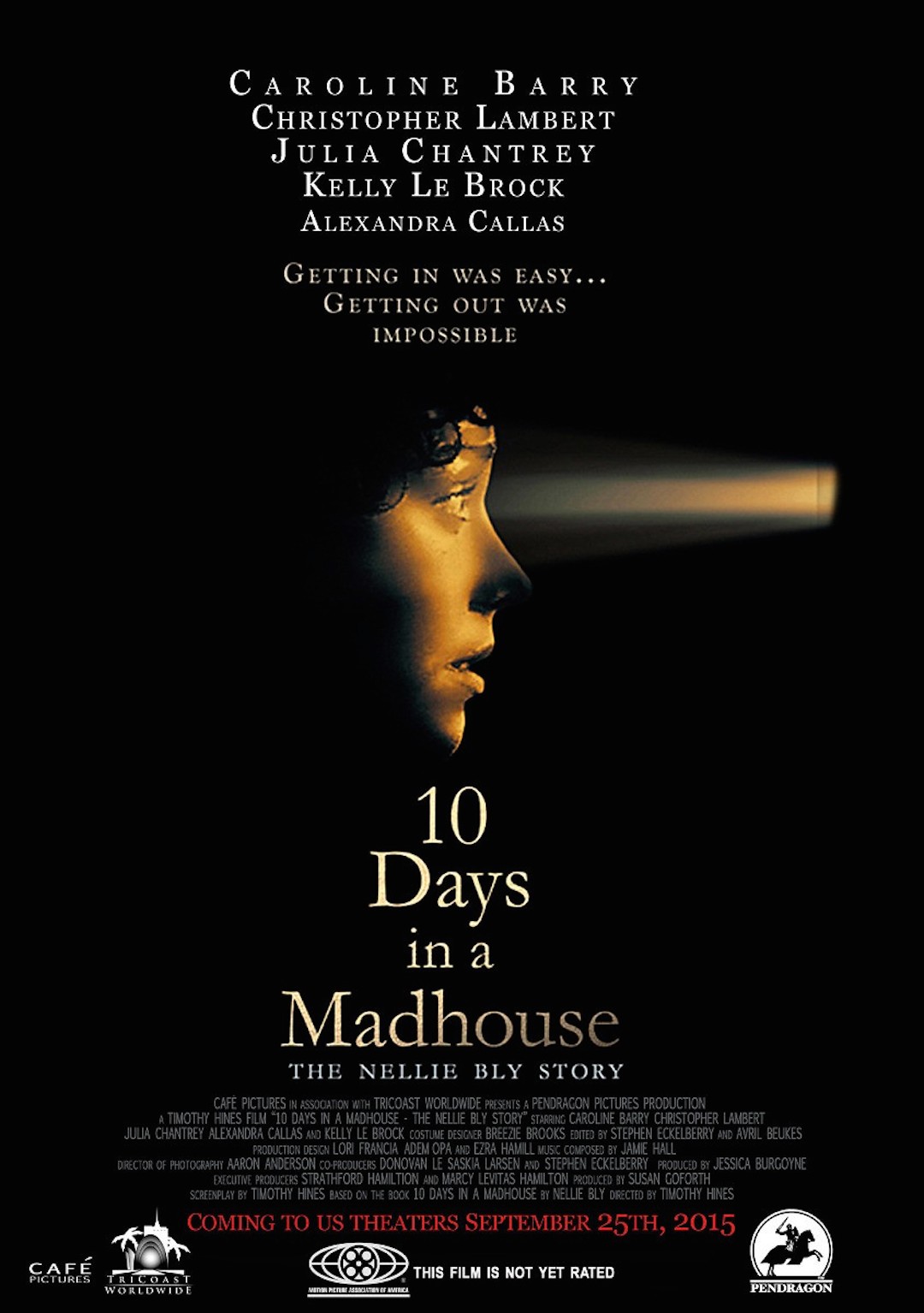 10 Days in a Madhouse poster