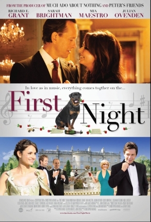 1st Night poster