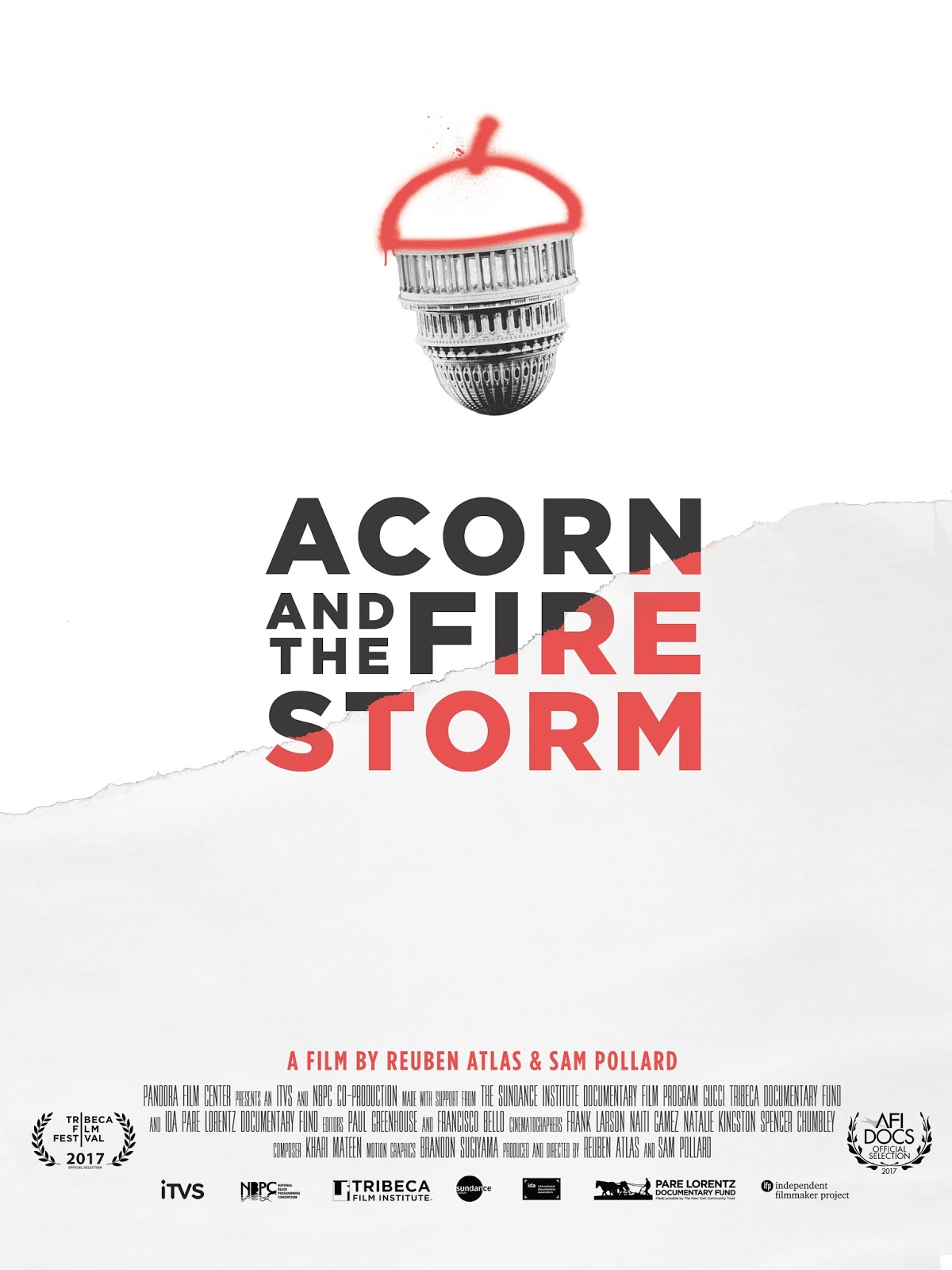 ACORN and the Firestorm