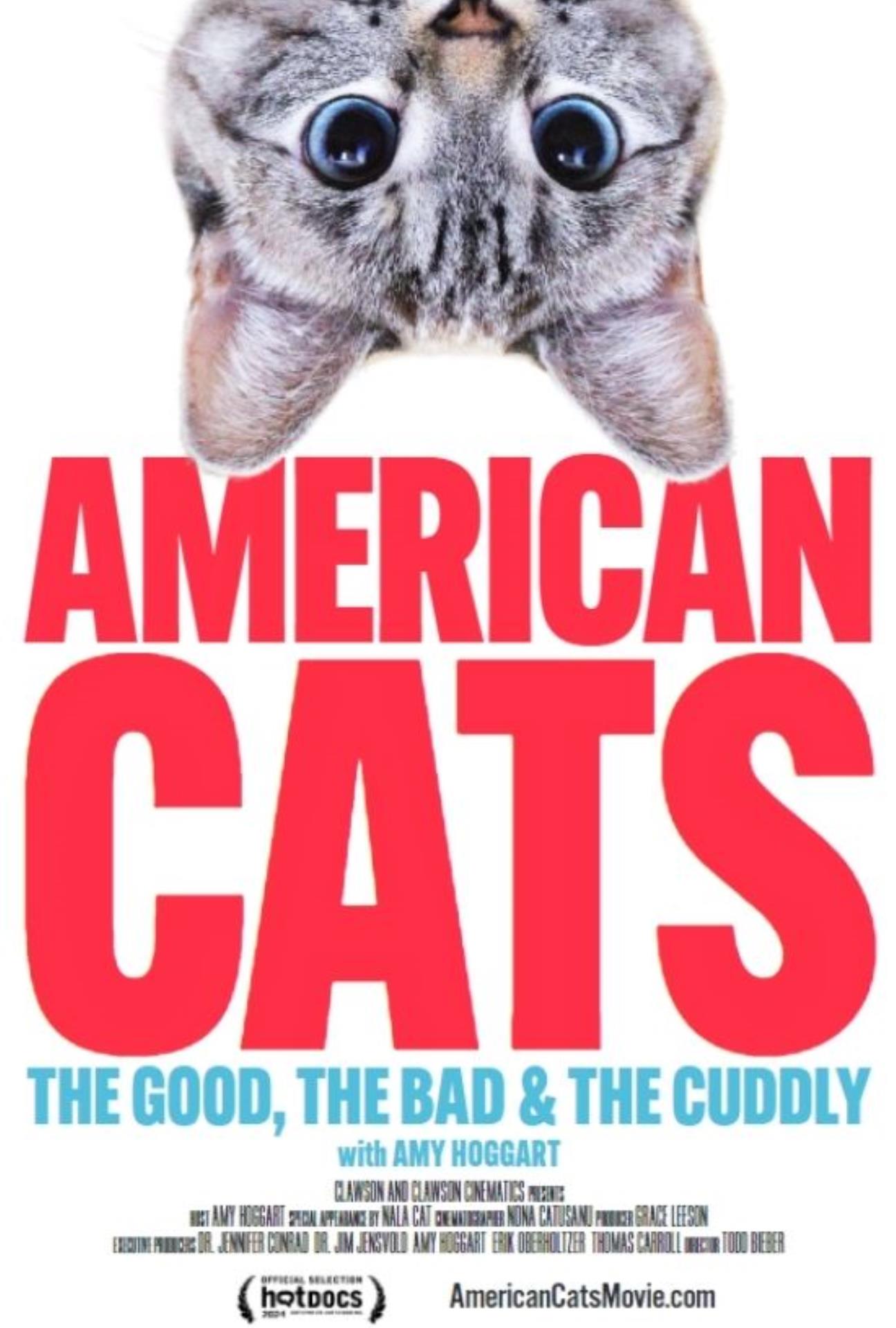 American Cats: The Good, the Bad, and the Cuddly