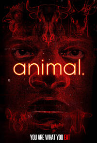 animal.