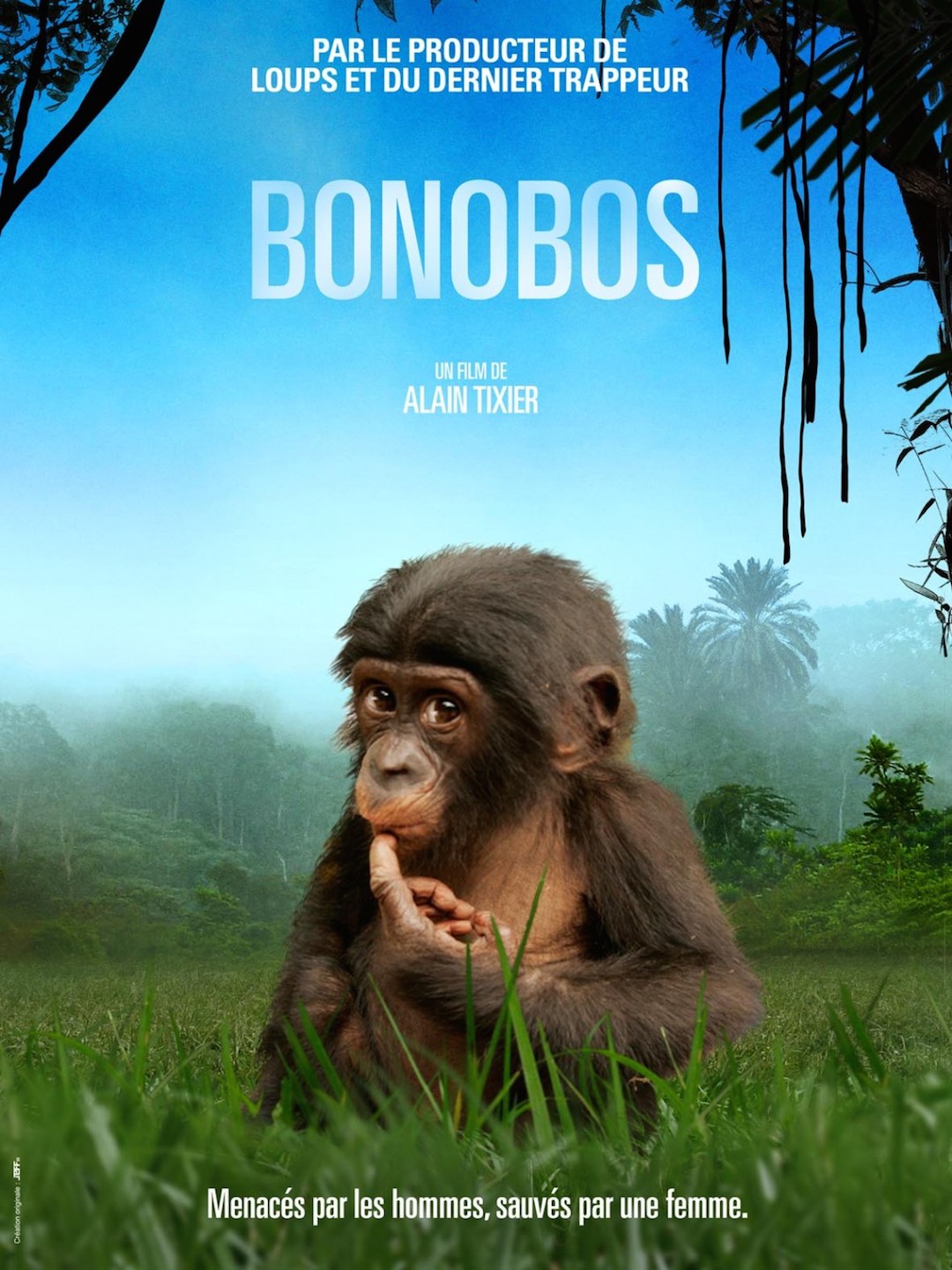 Bonobos poster