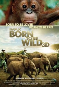 Born to be Wild 3D poster