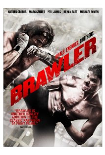 Brawler poster