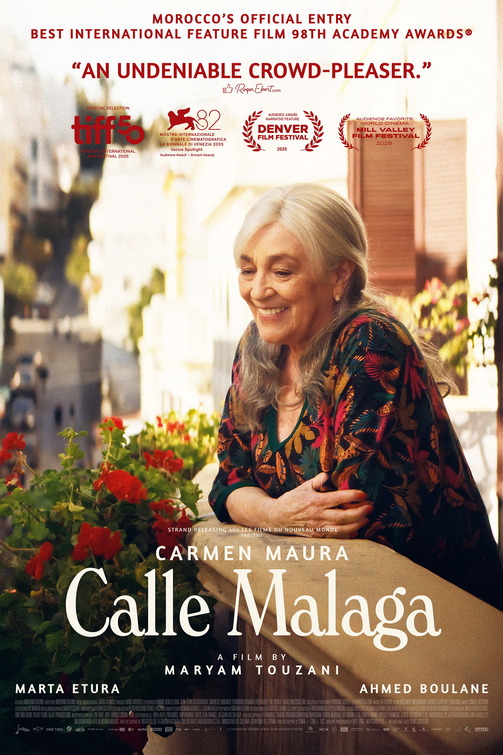 Calle Malaga poster