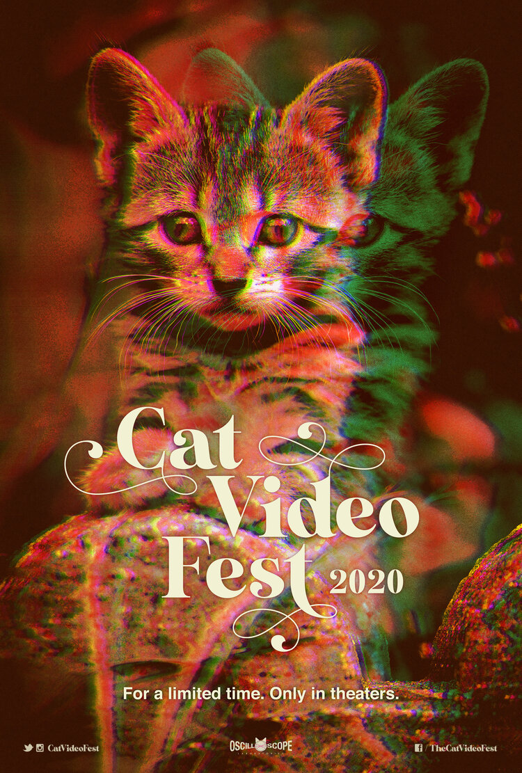 CatVideoFest