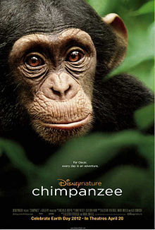 Chimpanzee poster