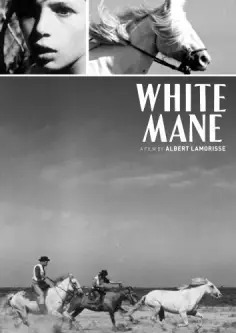Crin-Blanc