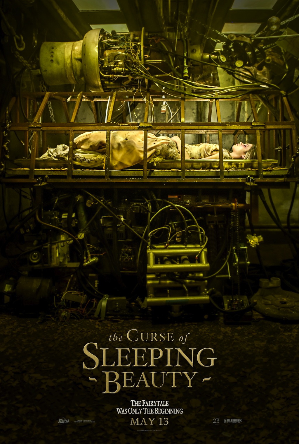 The Curse of Sleeping Beauty poster