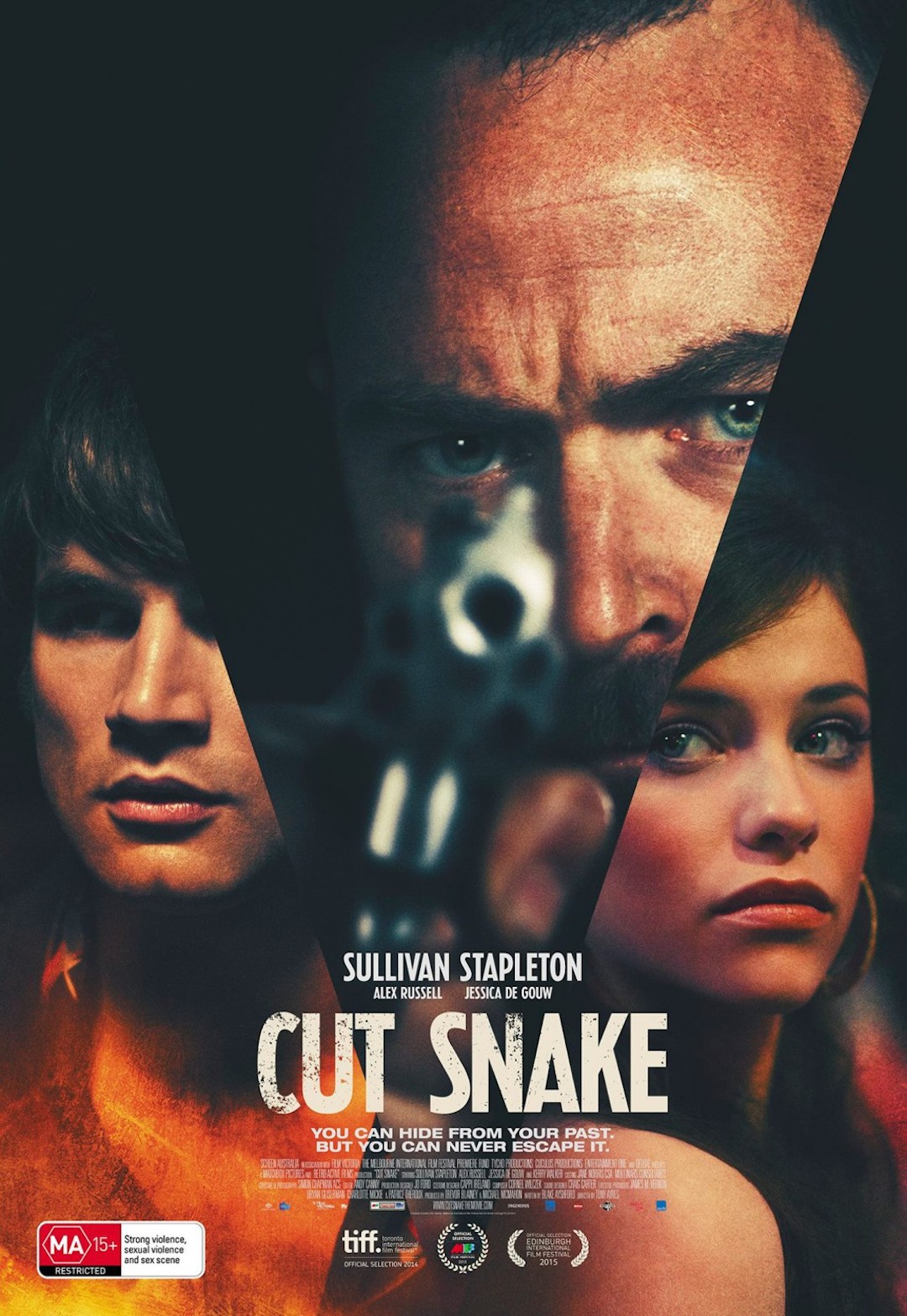 Cut Snake poster
