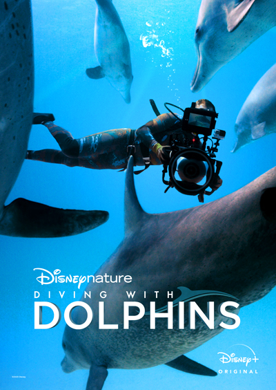 Diving With Dolphins