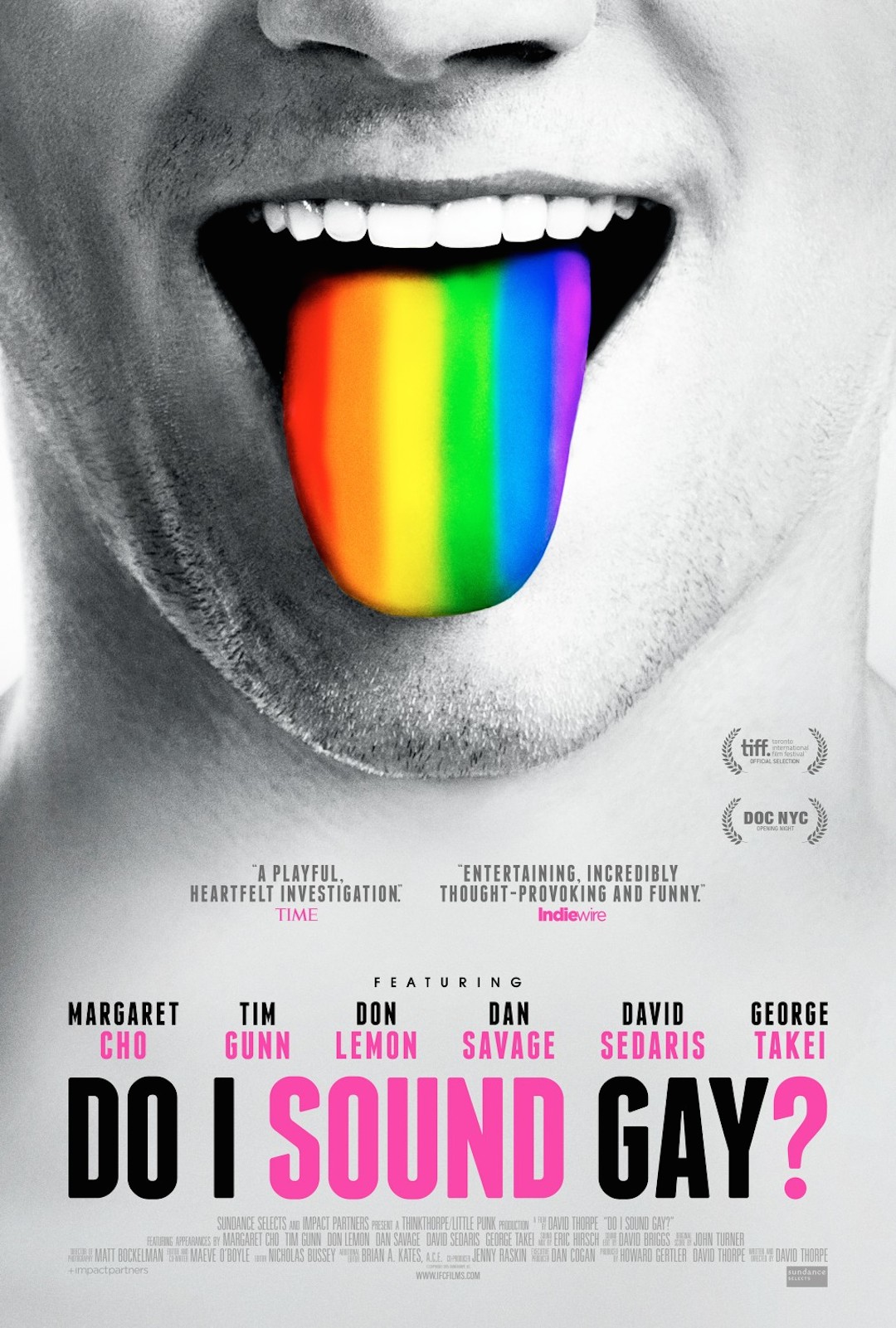 Do I Sound Gay poster
