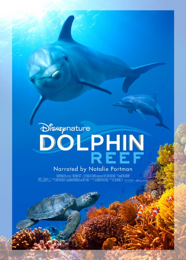 Dolphin Reef