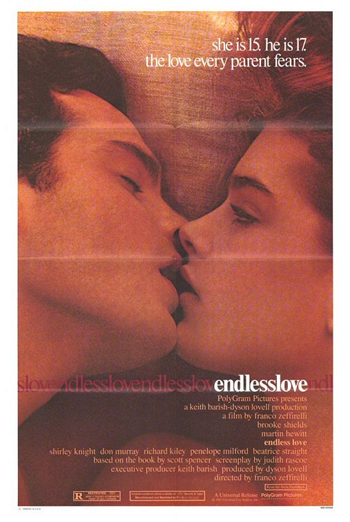 Endless Love poster