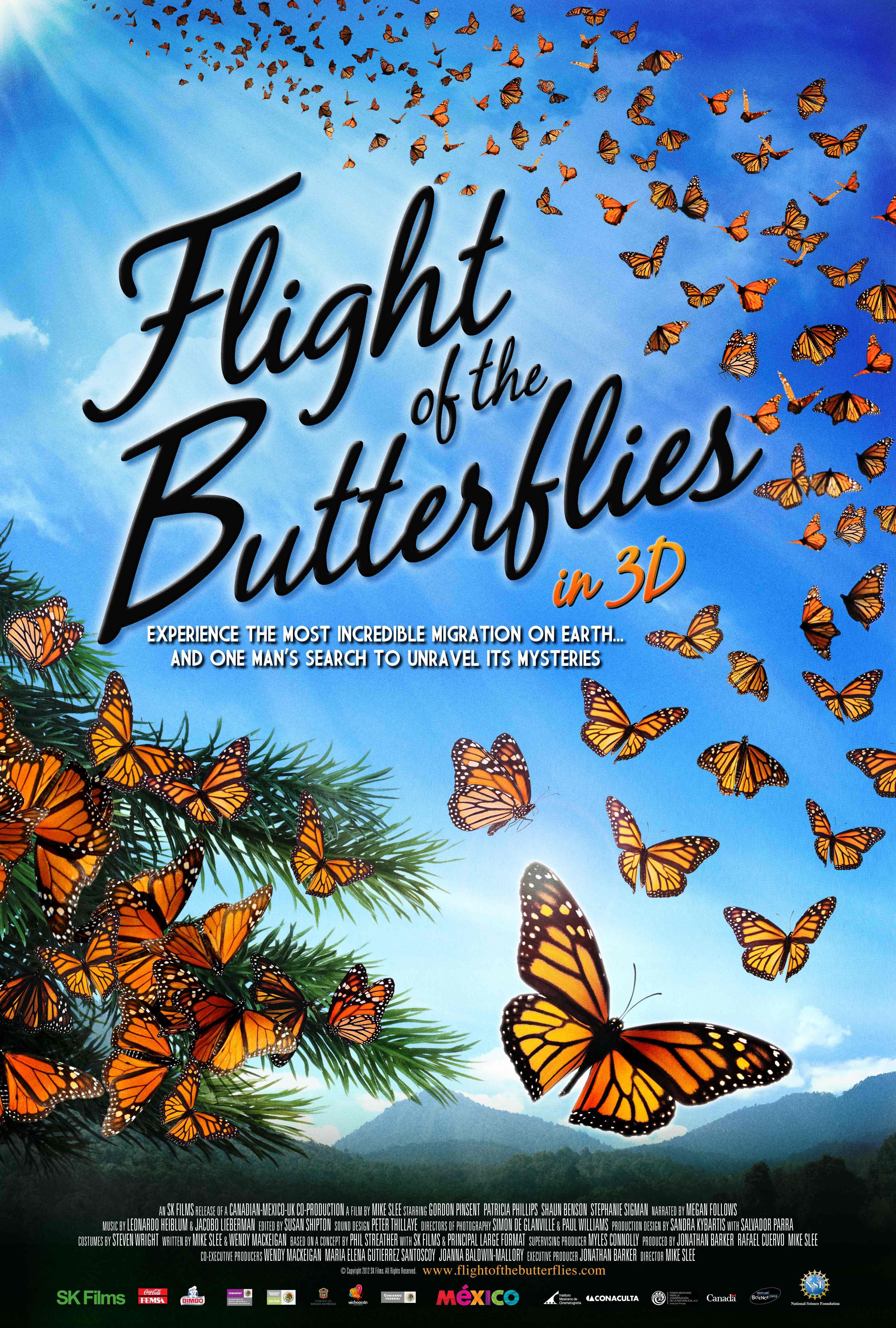 Flight of the Butterflies poster