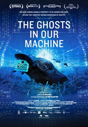 The Ghosts in Our Machine