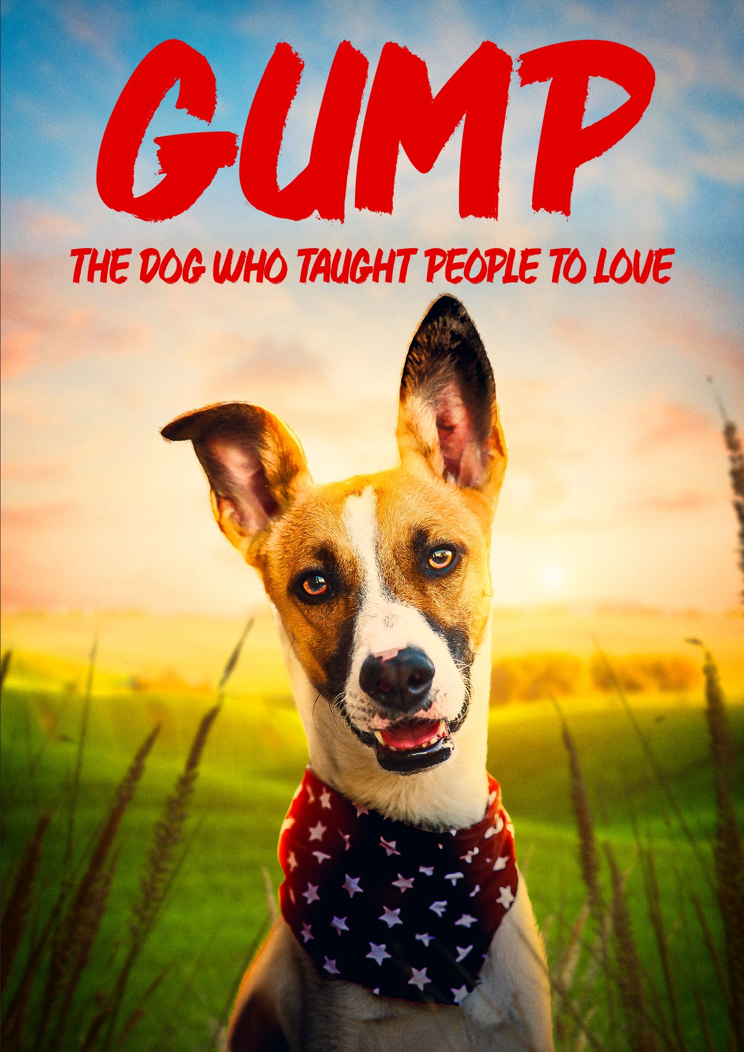 Gump - pes, který naučil lidi žít