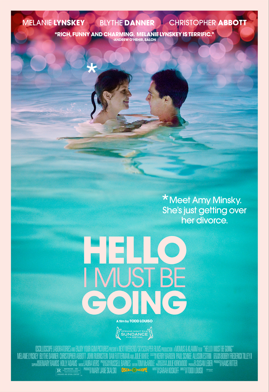 Hello I Must Be Going poster