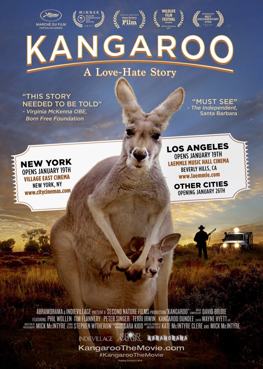 Kangaroo