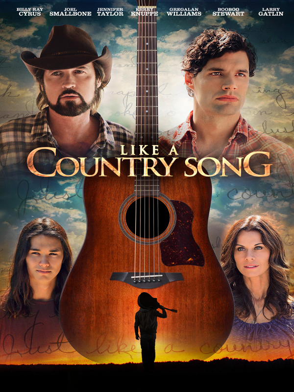 Like a Country Song poster