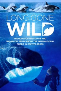 Long Gone Wild