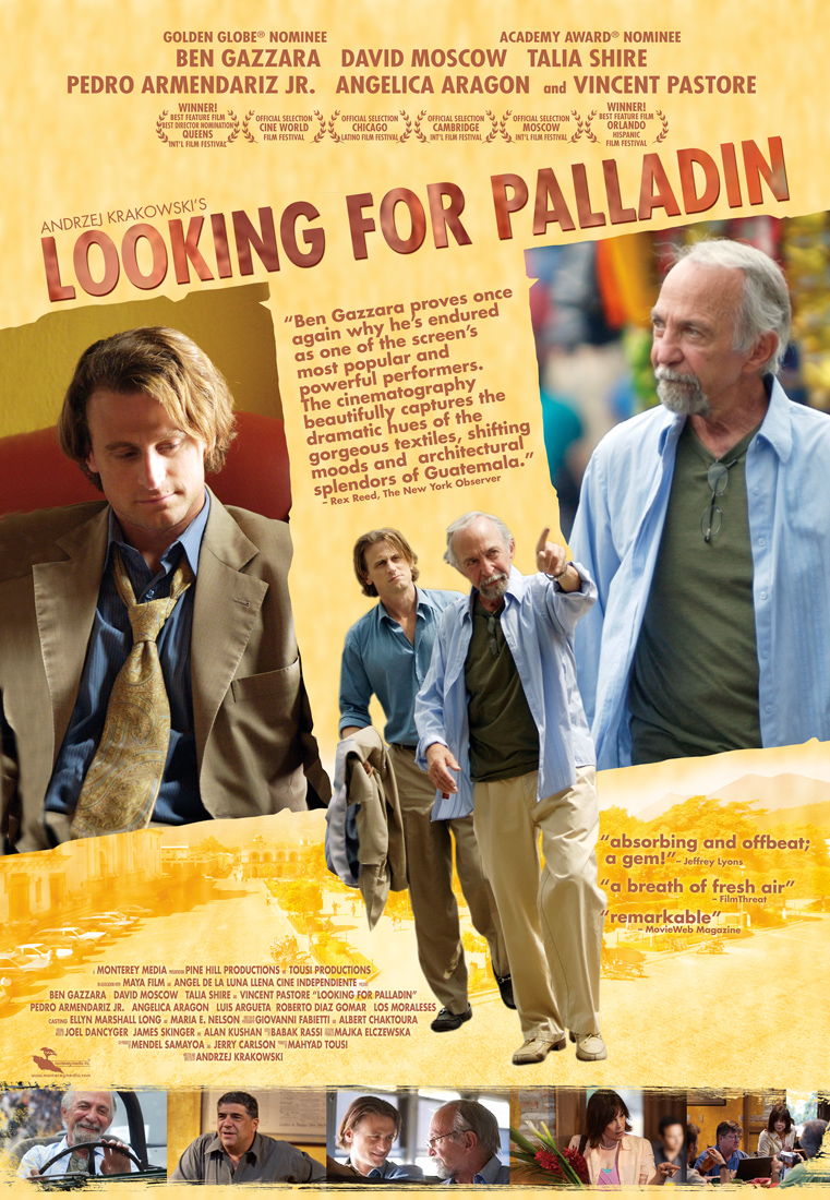 Looking for Palladin poster