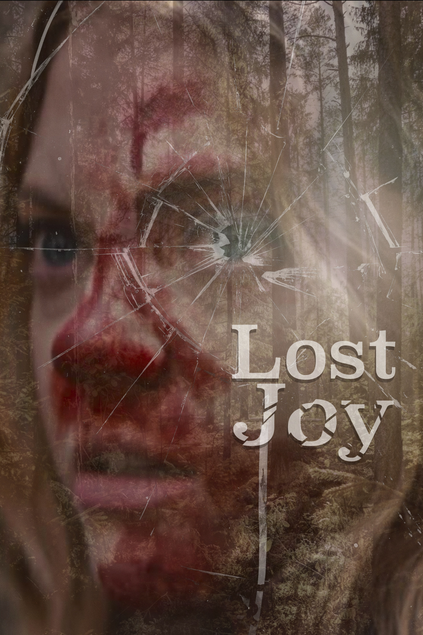 Lost Joy
