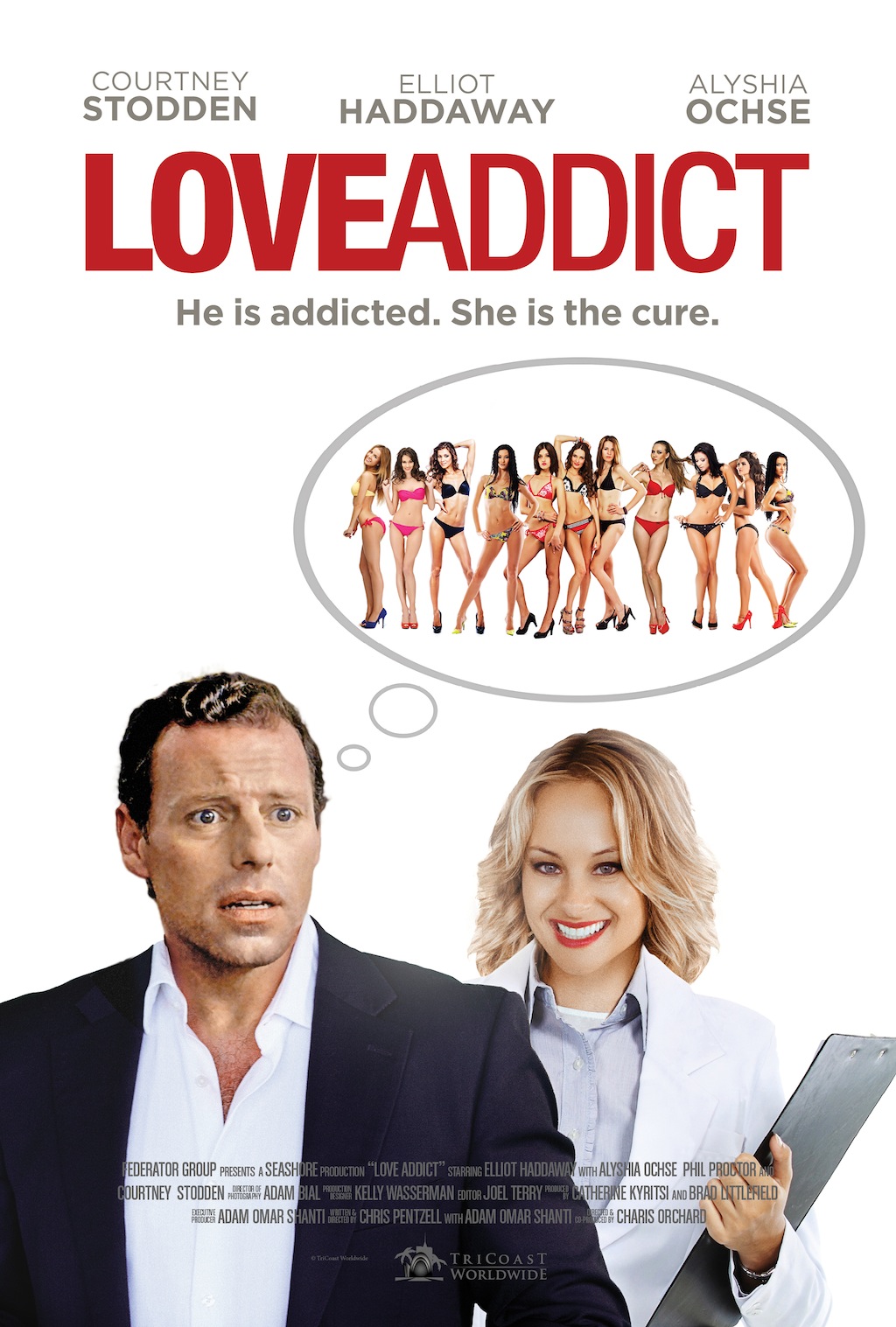 Love Addict poster