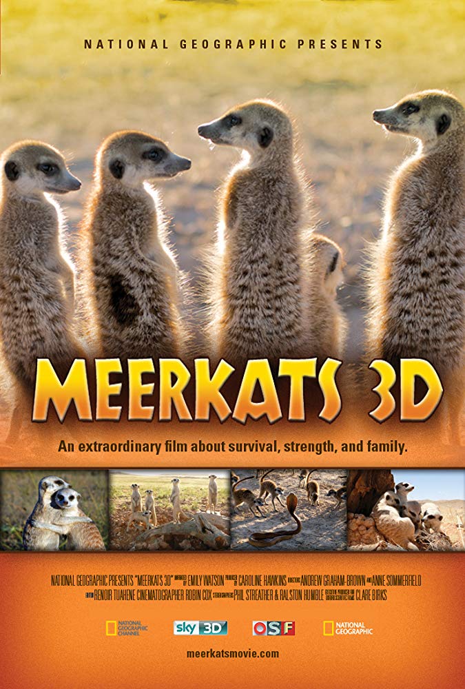 Meerkats
