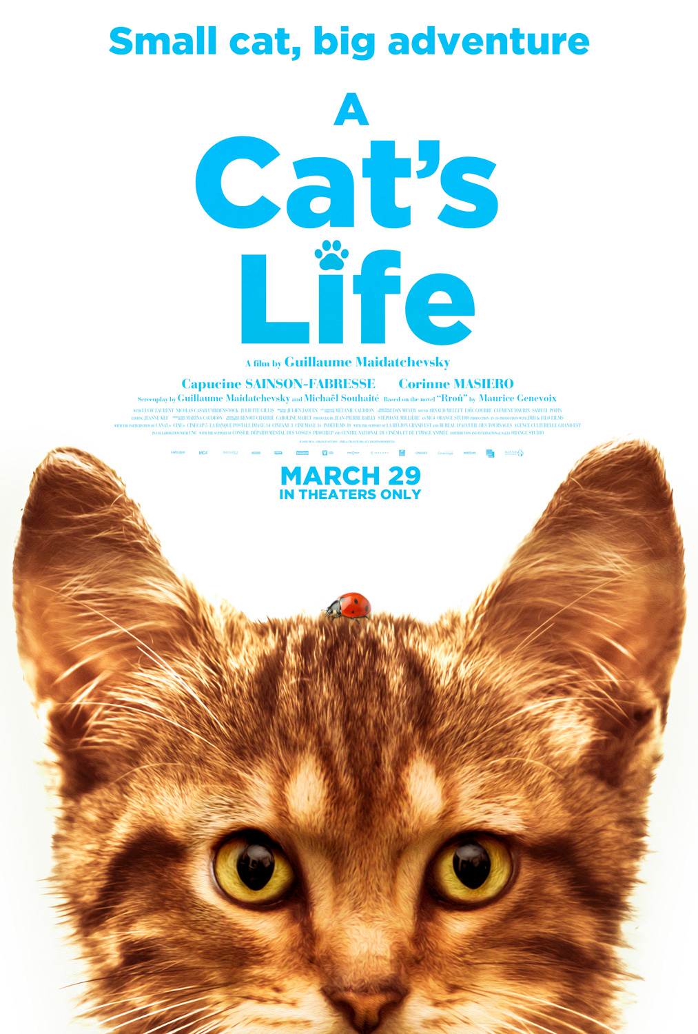 Mon chat et moi, la grande aventure de rrou