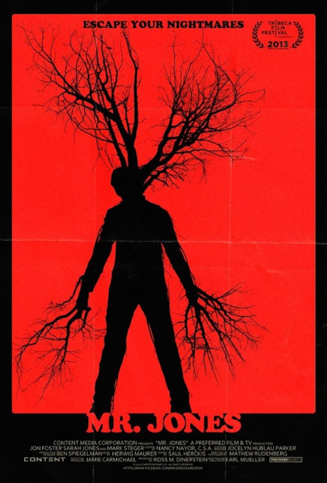 Mr. Jones poster