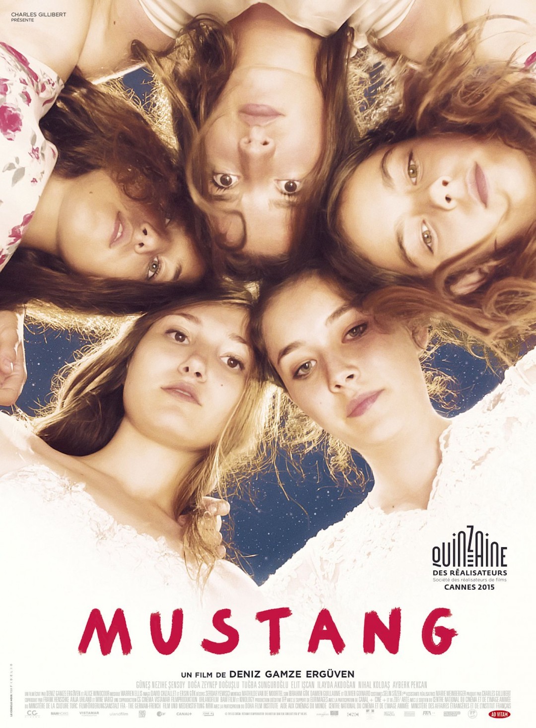 Mustang poster