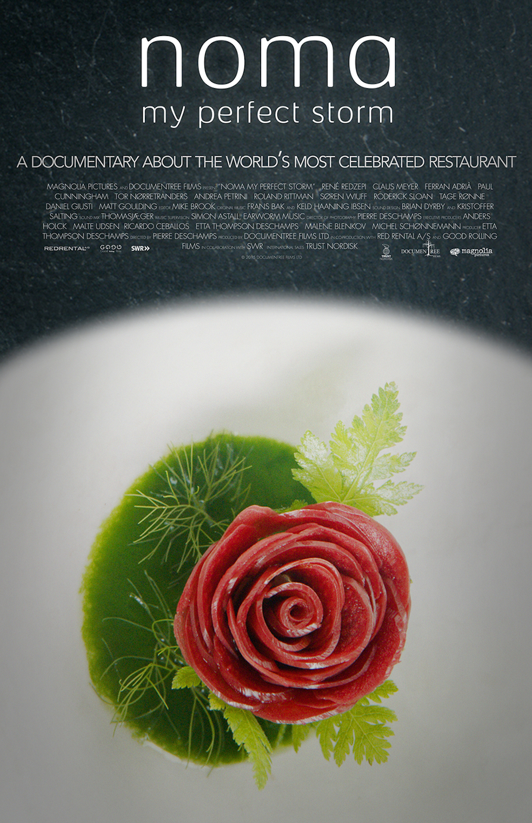 Noma My Perfect Storm poster