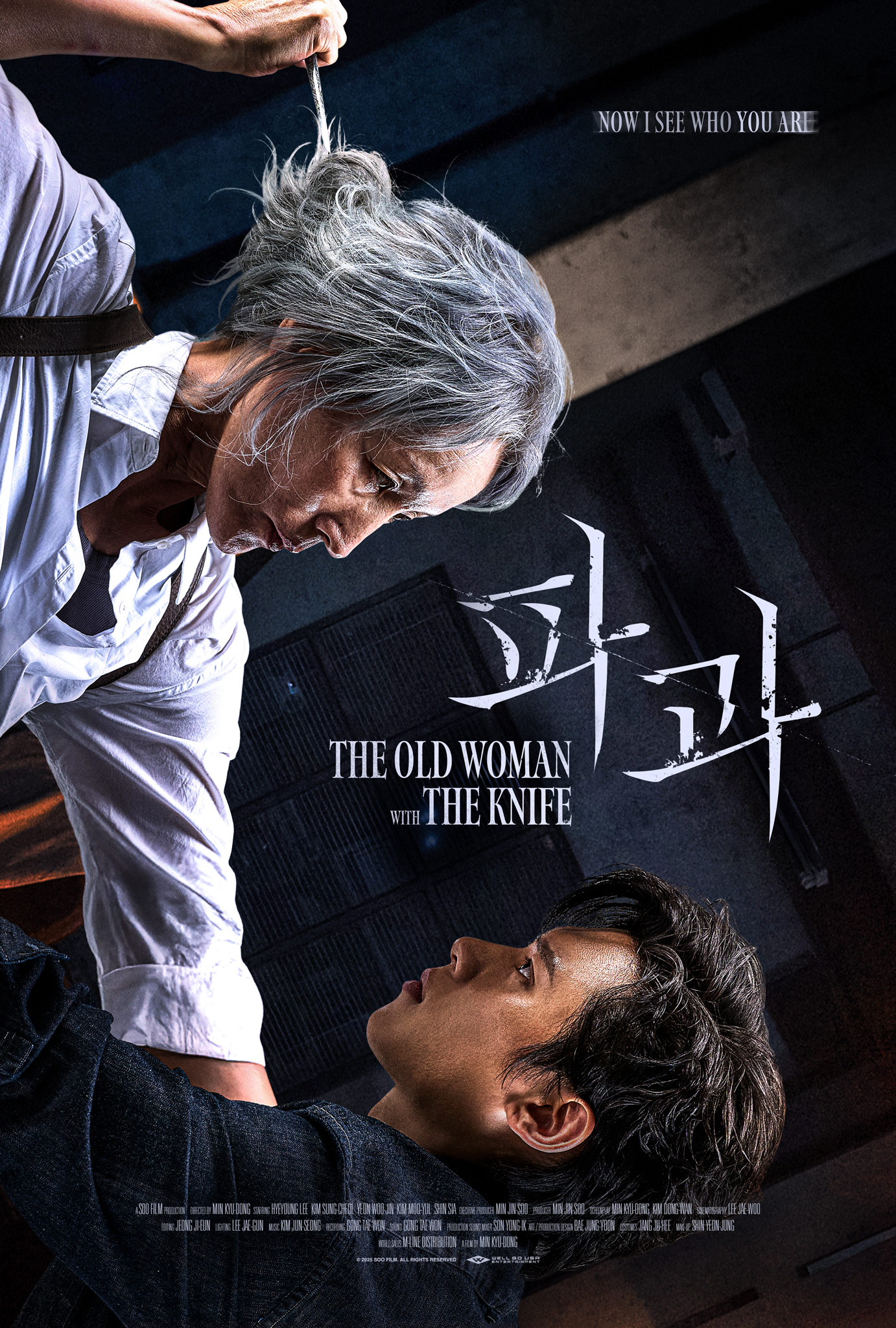 The Old Woman With The Knife (파과)