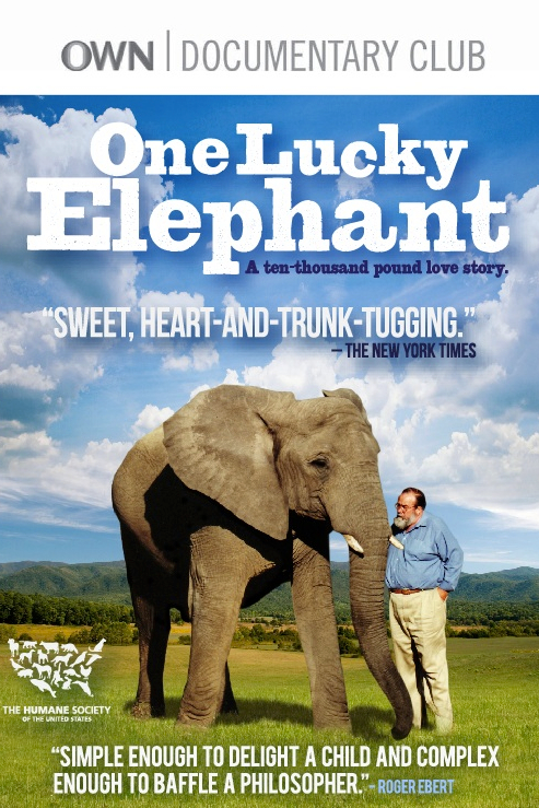 One Lucky Elephant poster