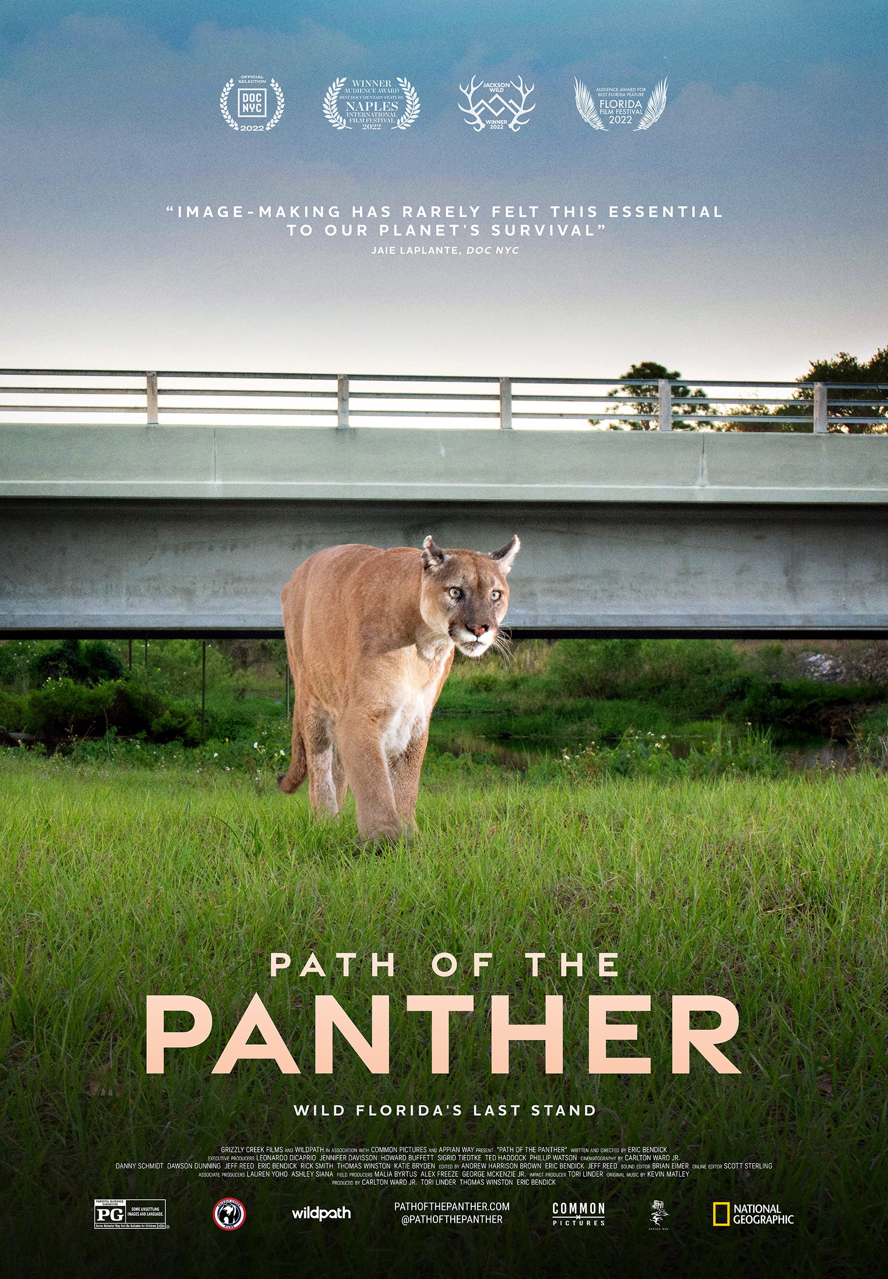 Path Of The Panther