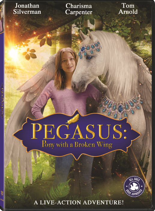 Pegasus: Pony With A Broken Wing