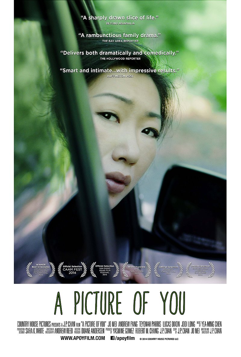 A Picture of You poster