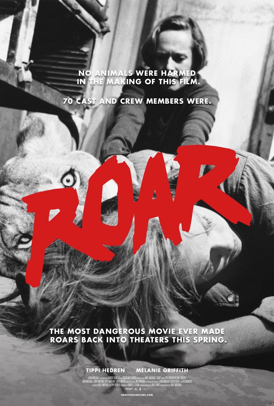 Roar poster