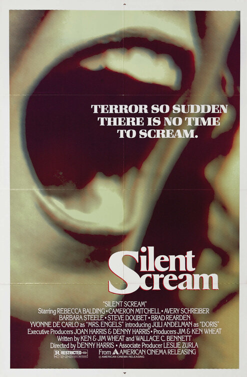 Silent Scream poster