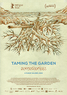 Taming the Garden