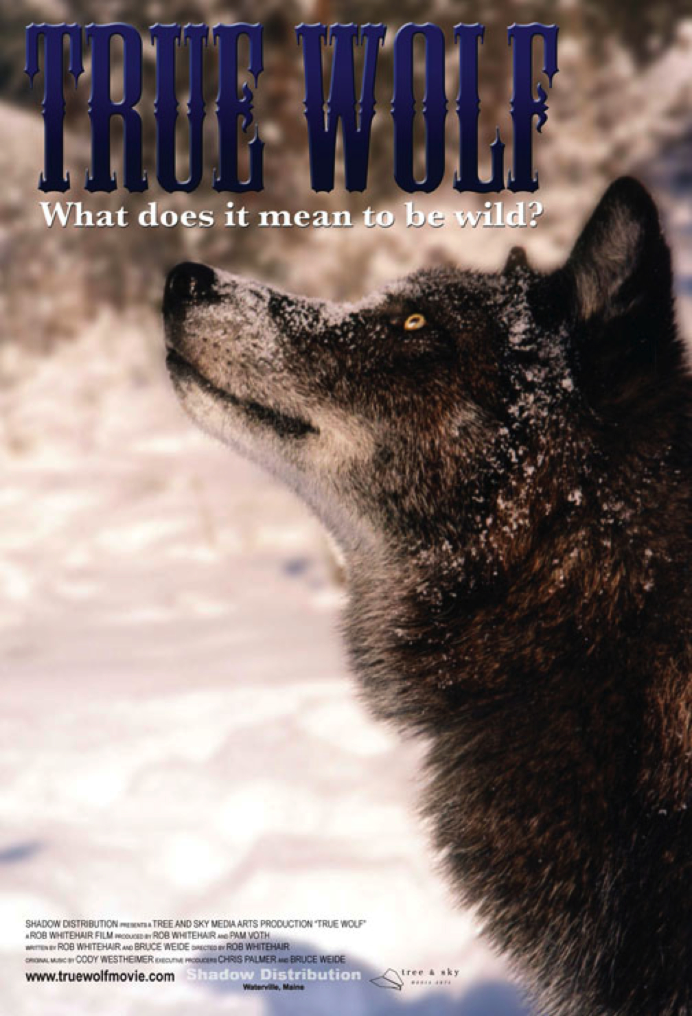 True Wolf poster
