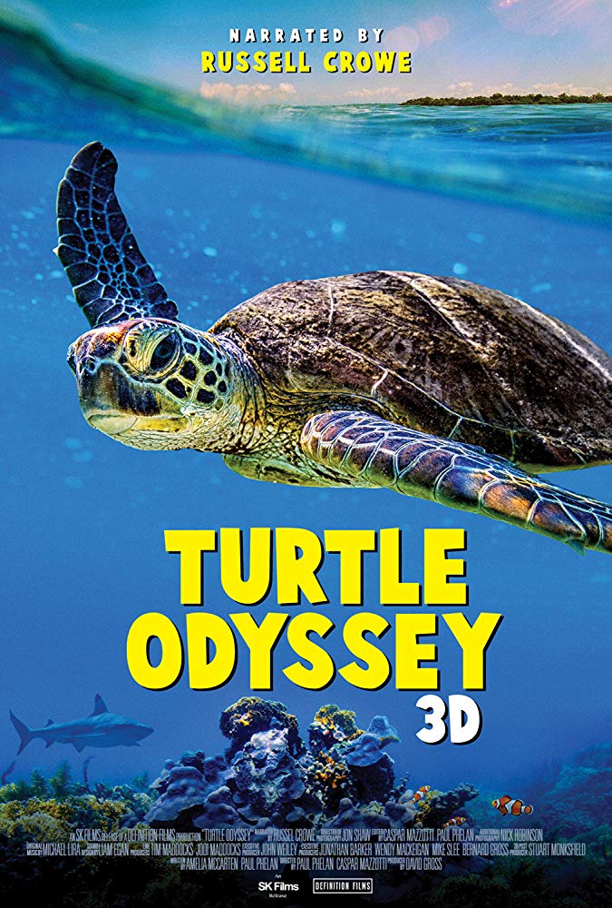 Turtle Odyssey 3d