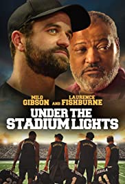 Under The Stadium Lights
