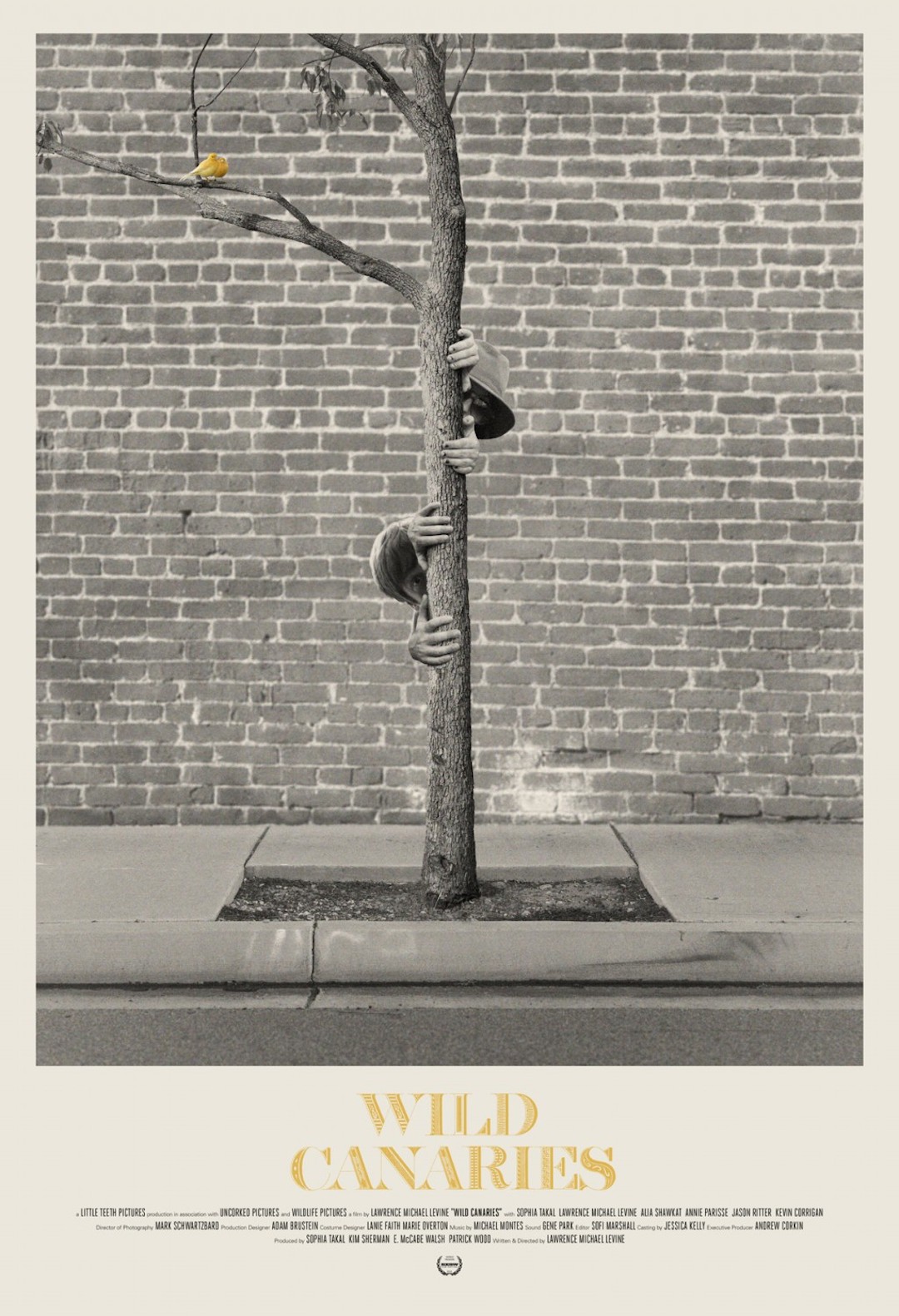 Wild Canaries poster