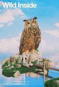 Wild Inside poster
