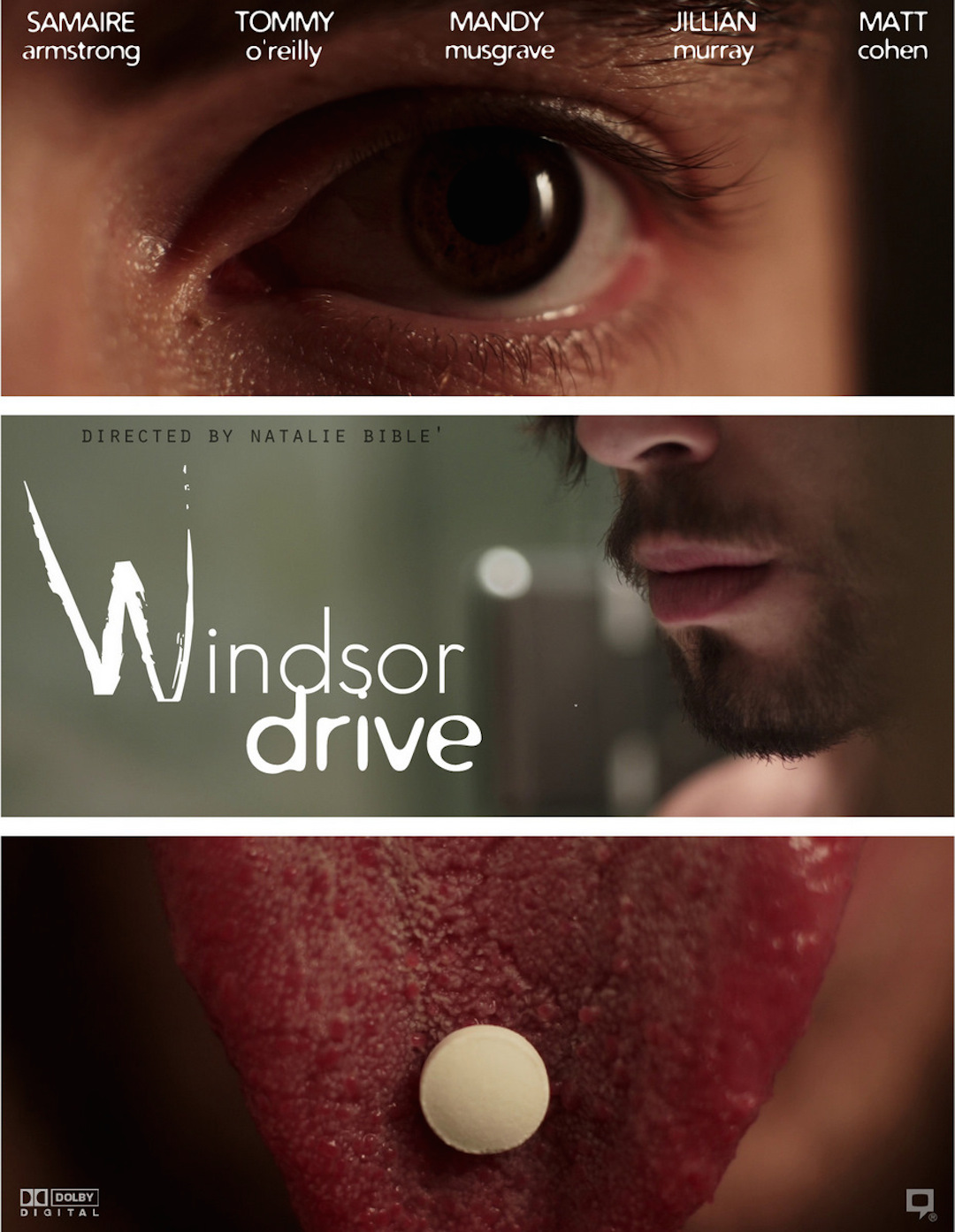 Windsor Drive poster