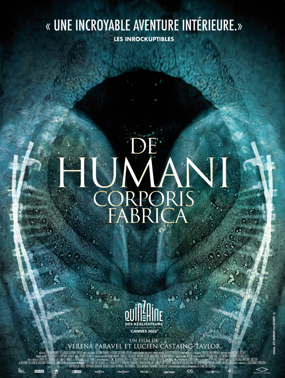 De humani corporis fabrica